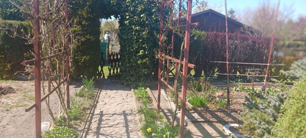 Działka rod Strzelno. Zdjęcie 1