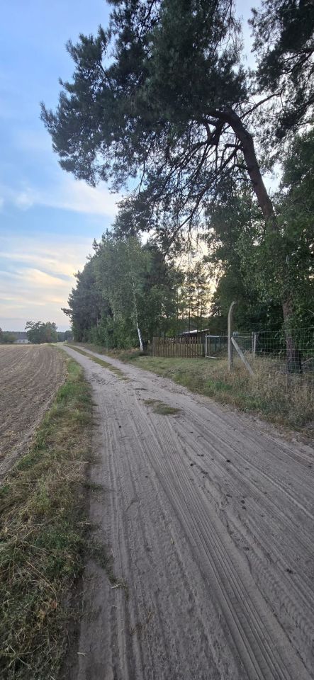 Działka rolna Ostrowite Prymasowskie Raszewo. Zdjęcie 5