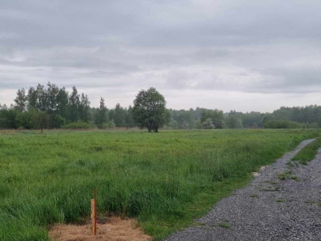 Działka budowlana Borek. Zdjęcie 1