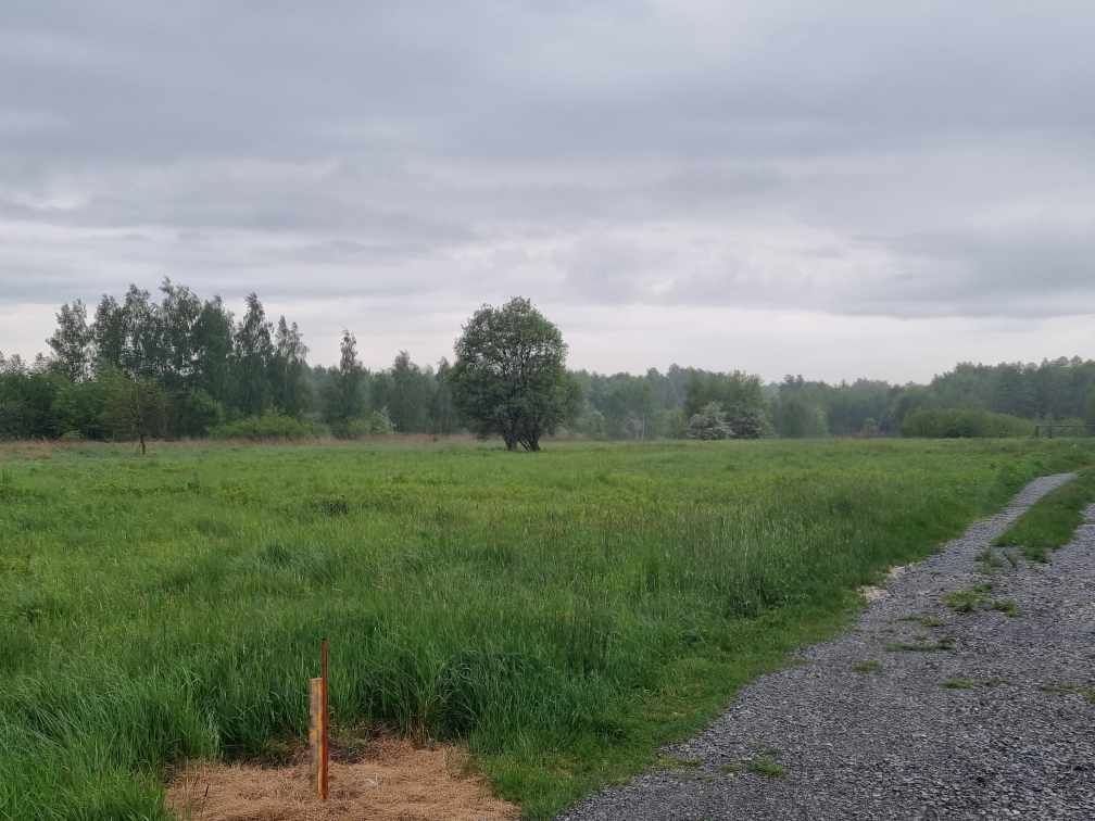 Działka budowlana Borek