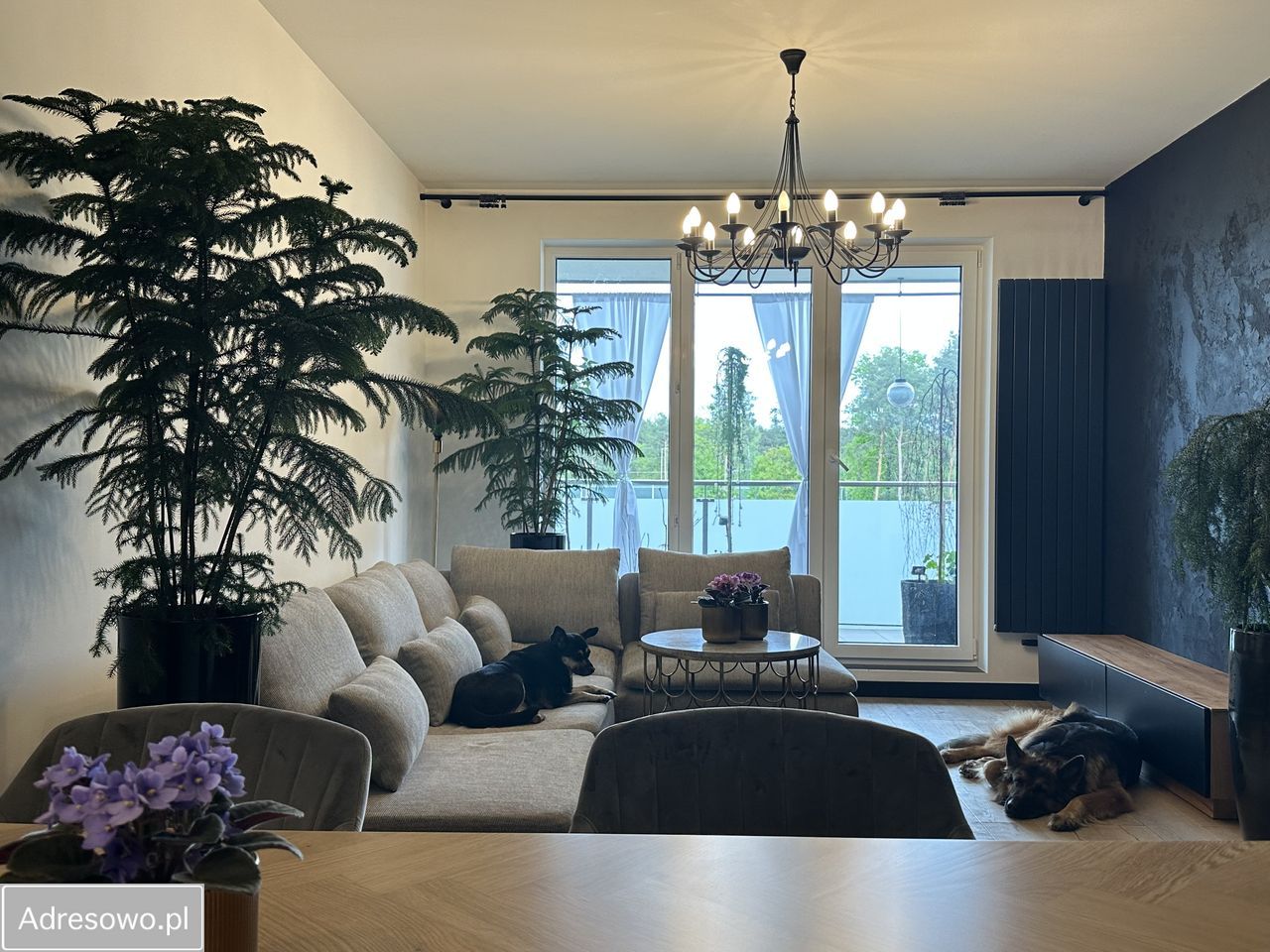 Mieszkanie 2-pokojowe Ząbki, ul. Christiana Andersena