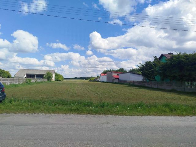 Działka rolno-budowlana Wierzbica. Zdjęcie 1