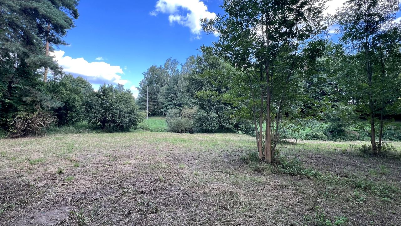 Działka rekreacyjna Mirowice, ul. Sarenki. Zdjęcie 4