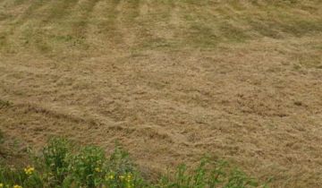 Działka rolno-budowlana Brzeg