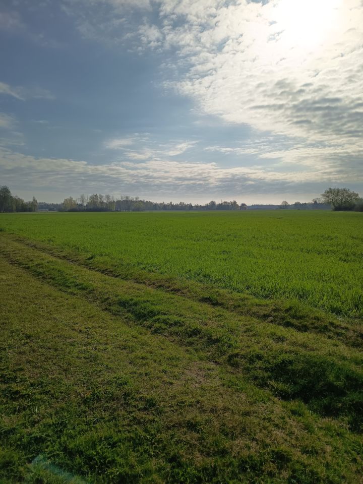 Działka budowlana Budy Ciepielińskie. Zdjęcie 17