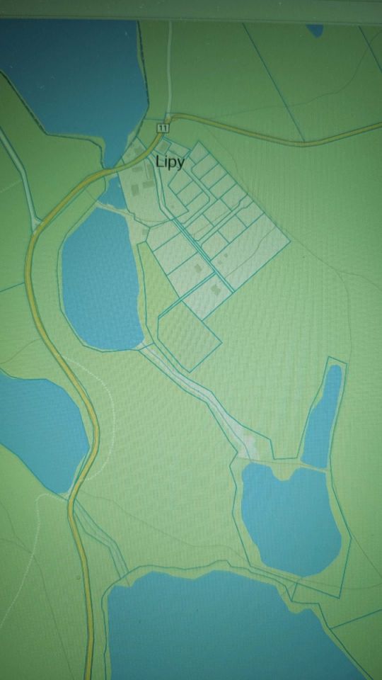 Działka rolna Lipy. Zdjęcie 4