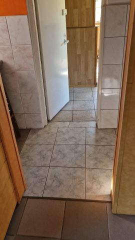 Działka rekreacyjna Lesiak Ostródzki, Nenufar. Zdjęcie 1