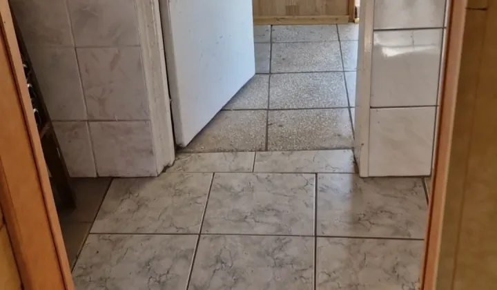 Działka rekreacyjna Lesiak Ostródzki, Nenufar