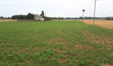 Działka rolno-budowlana Rakowo. Zdjęcie 1