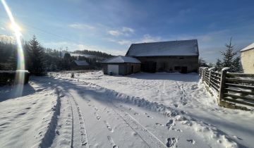 Nieruchomość komercyjna Jabłów