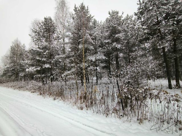 Działka budowlana Lipowo. Zdjęcie 8