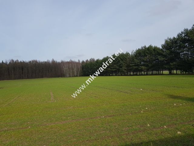 Działka Budy Wolskie. Zdjęcie 1