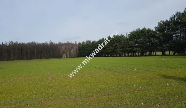 Działka Budy Wolskie