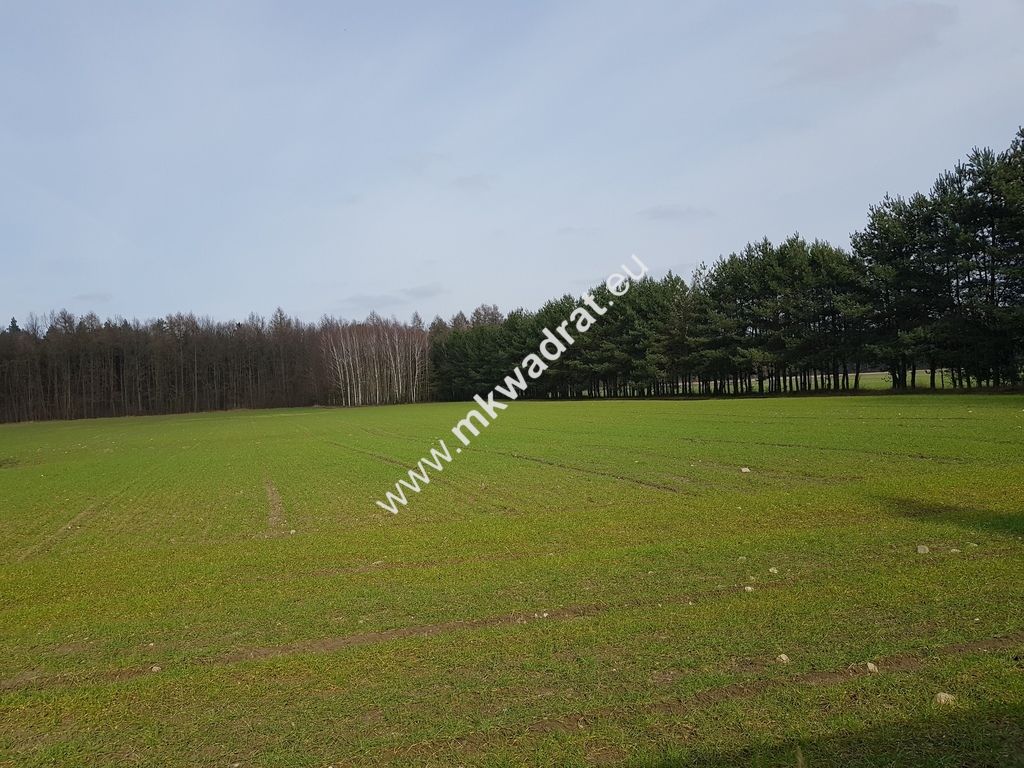 Działka Budy Wolskie. Zdjęcie 1