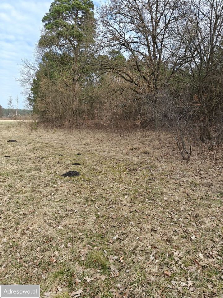 Działka rolna Górnica. Zdjęcie 6