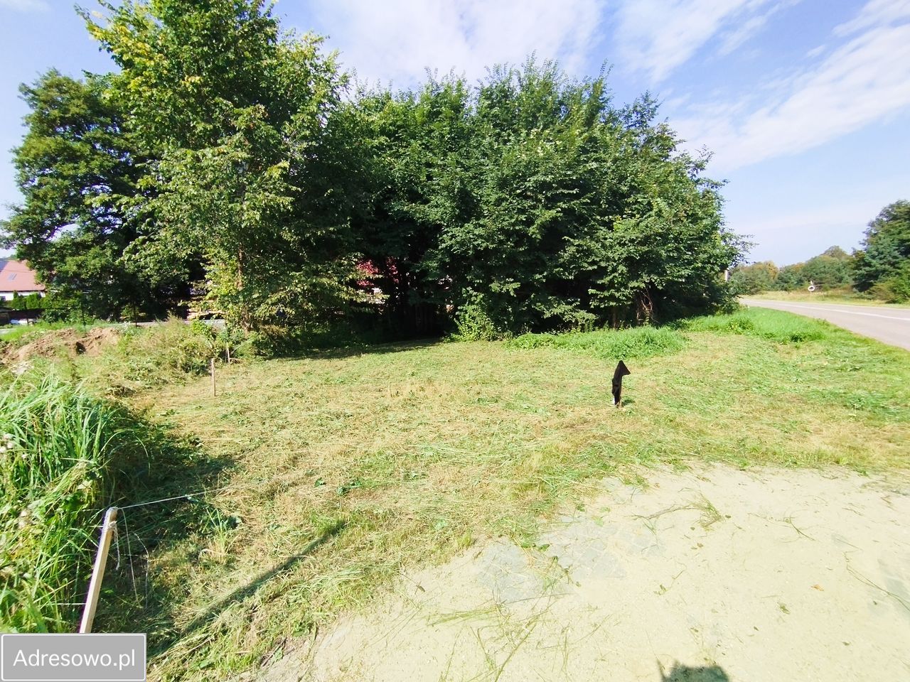Działka rolno-budowlana Czymanowo. Zdjęcie 9