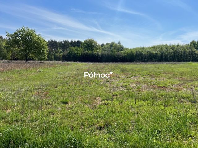 Działka rolno-budowlana Tymowa. Zdjęcie 9