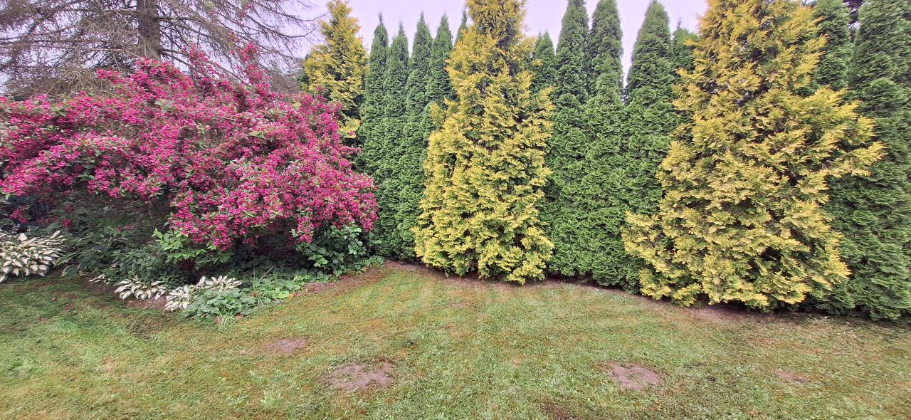 Działka rod Łódź Łagiewniki. Zdjęcie 9