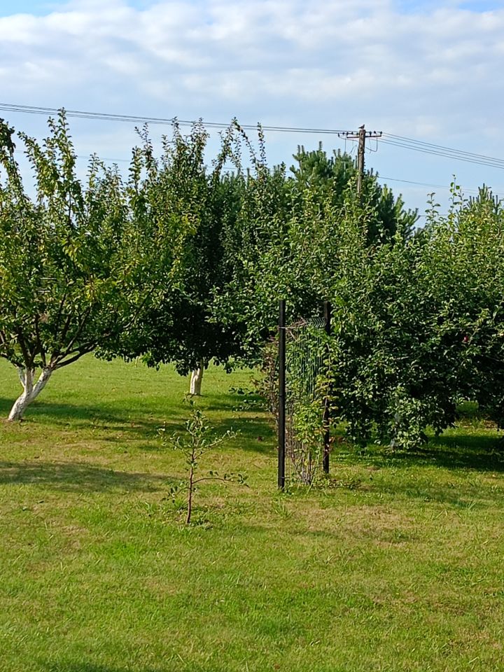 dom wolnostojący, 3 pokoje Wiktorowo. Zdjęcie 14