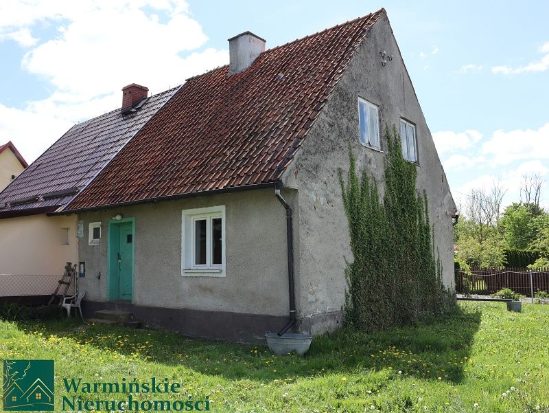 bliźniak Wirwilty. Zdjęcie 3