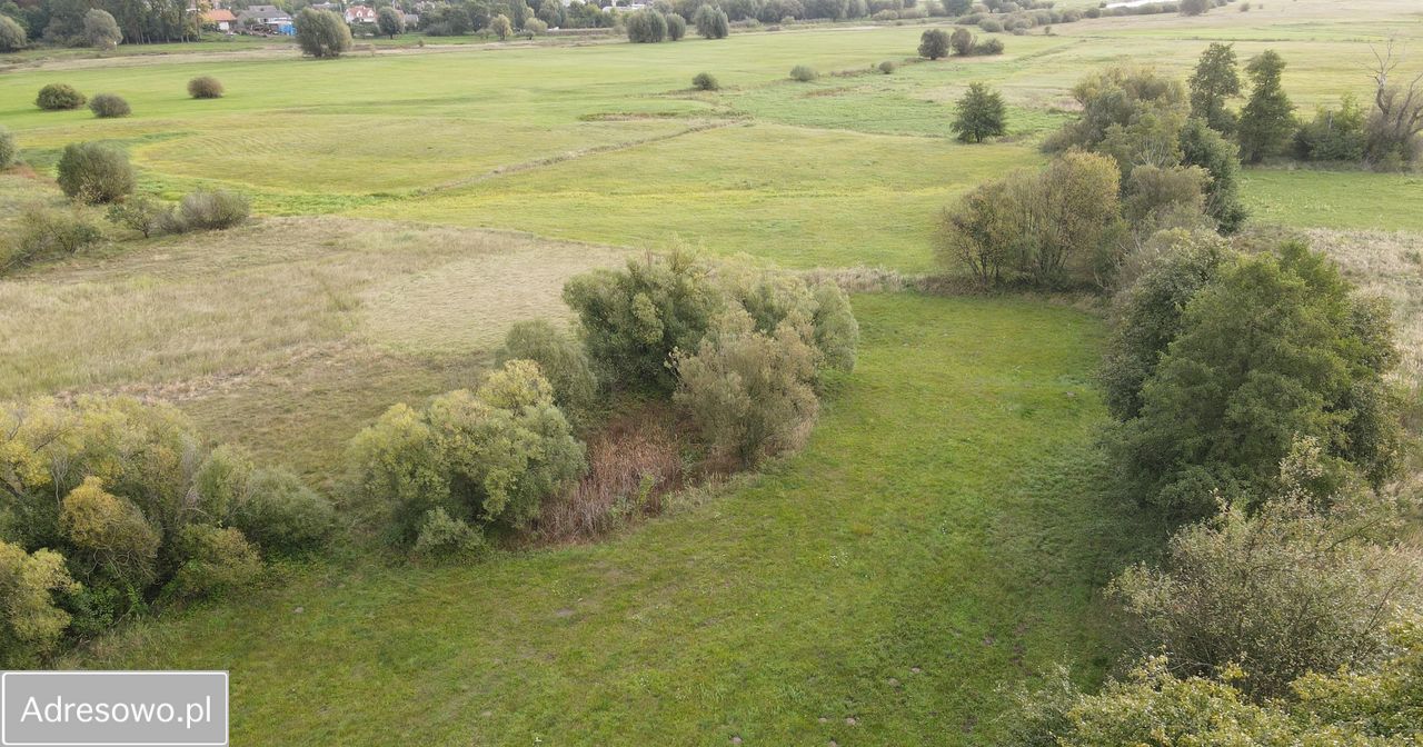 Działka rolno-budowlana Ciążeńskie Holendry. Zdjęcie 5