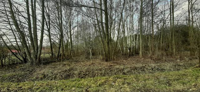 Działka budowlana Henryków-Urocze. Zdjęcie 3