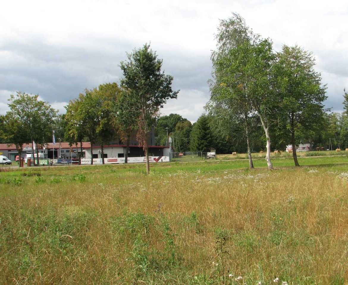 Działka budowlana Broszków, ul. Południowa. Zdjęcie 8