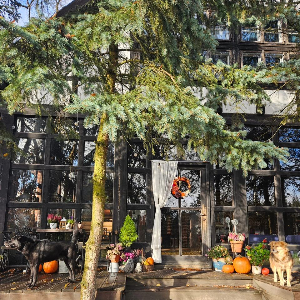 gospodarstwo, 5 pokoi Leleszki. Zdjęcie 14
