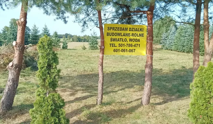Działka rolno-budowlana Kowalewice, 42