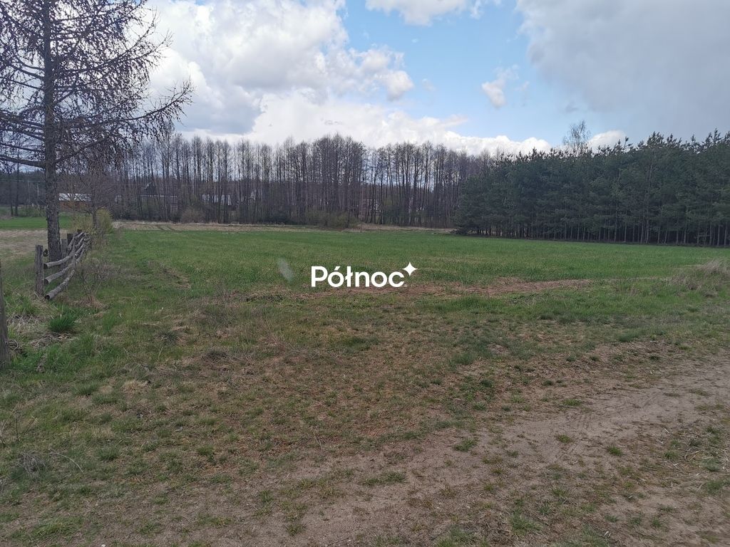 Działka rolna Grabowiec. Zdjęcie 14