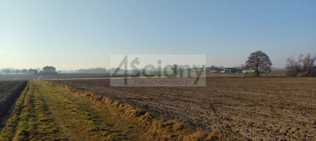 Działka rolno-budowlana Cholewy. Zdjęcie 9