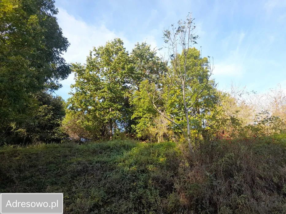 Działka rolno-budowlana Kominki. Zdjęcie 4