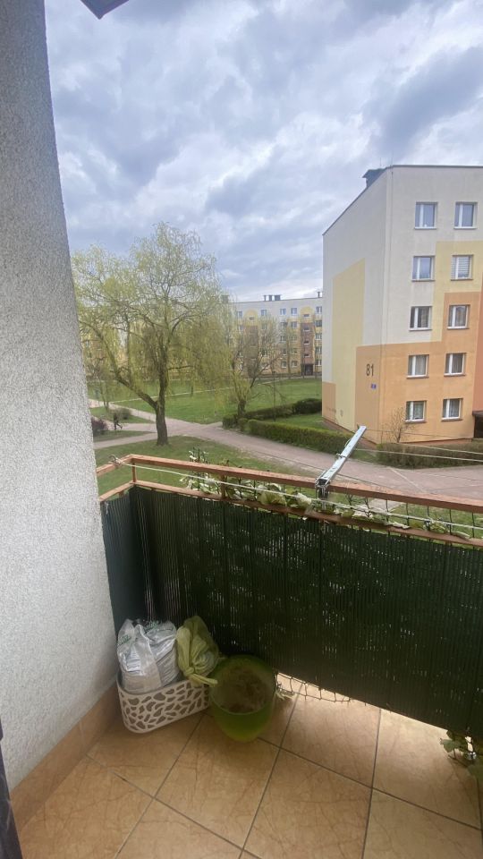 Mieszkanie 1-pokojowe Kielce Uroczysko, ul. Klonowa. Zdjęcie 33