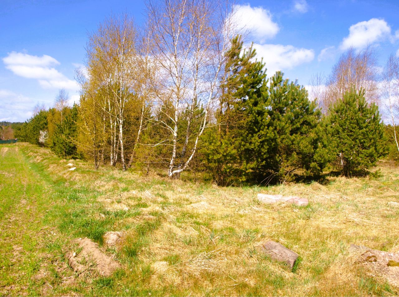 Działka rekreacyjna Lipy. Zdjęcie 8