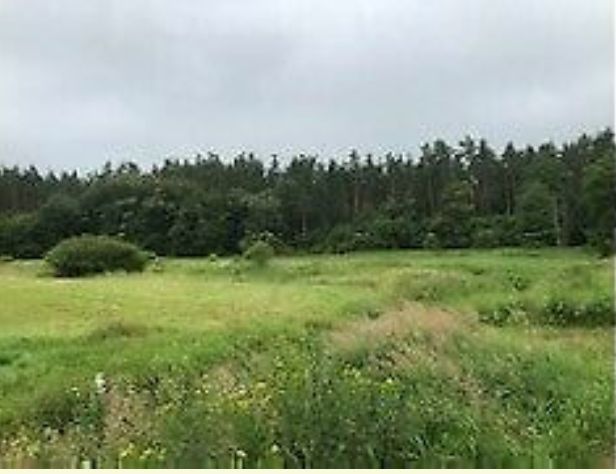 Działka rekreacyjna Kamińsko. Zdjęcie 3