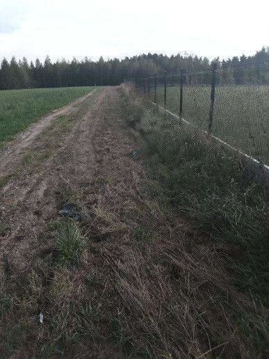 Działka budowlana Mszano. Zdjęcie 5