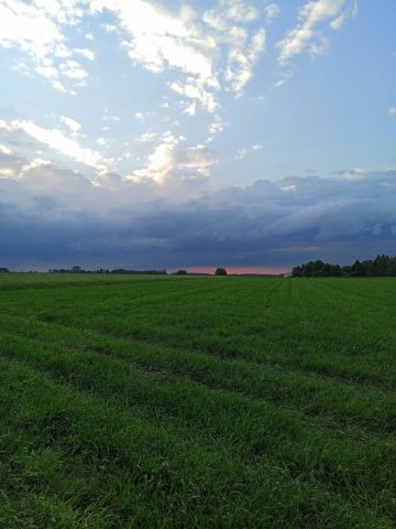 Działka rolna Patków. Zdjęcie 1