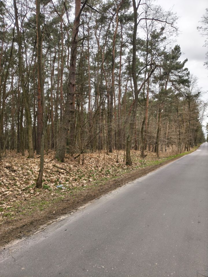 Działka budowlana Ziewanice. Zdjęcie 3