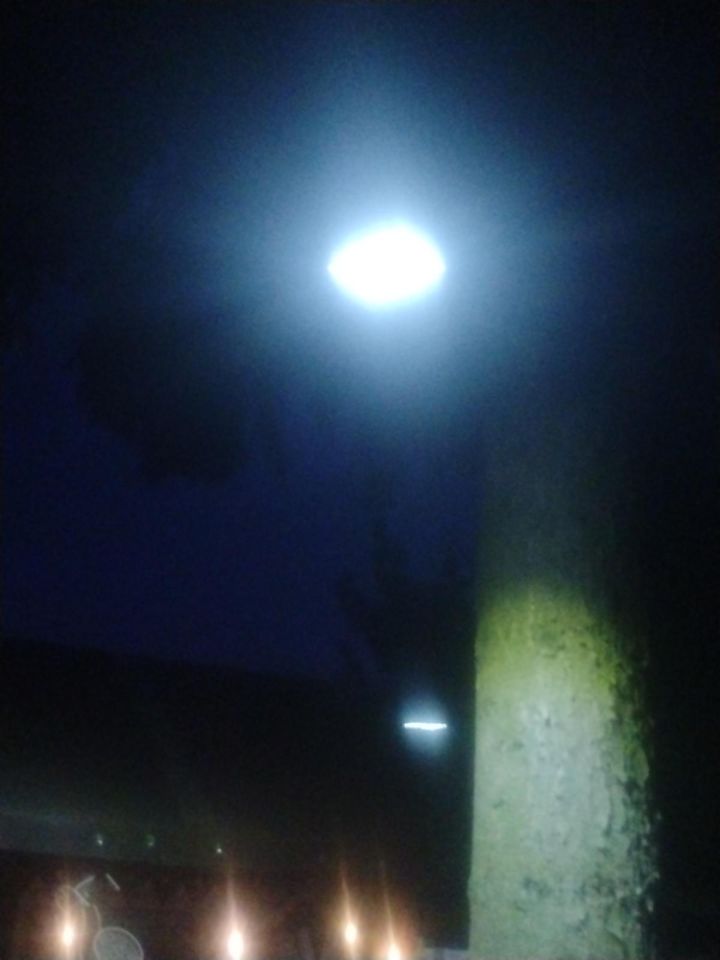 Działka rod Lublin Podzamcze. Zdjęcie 14