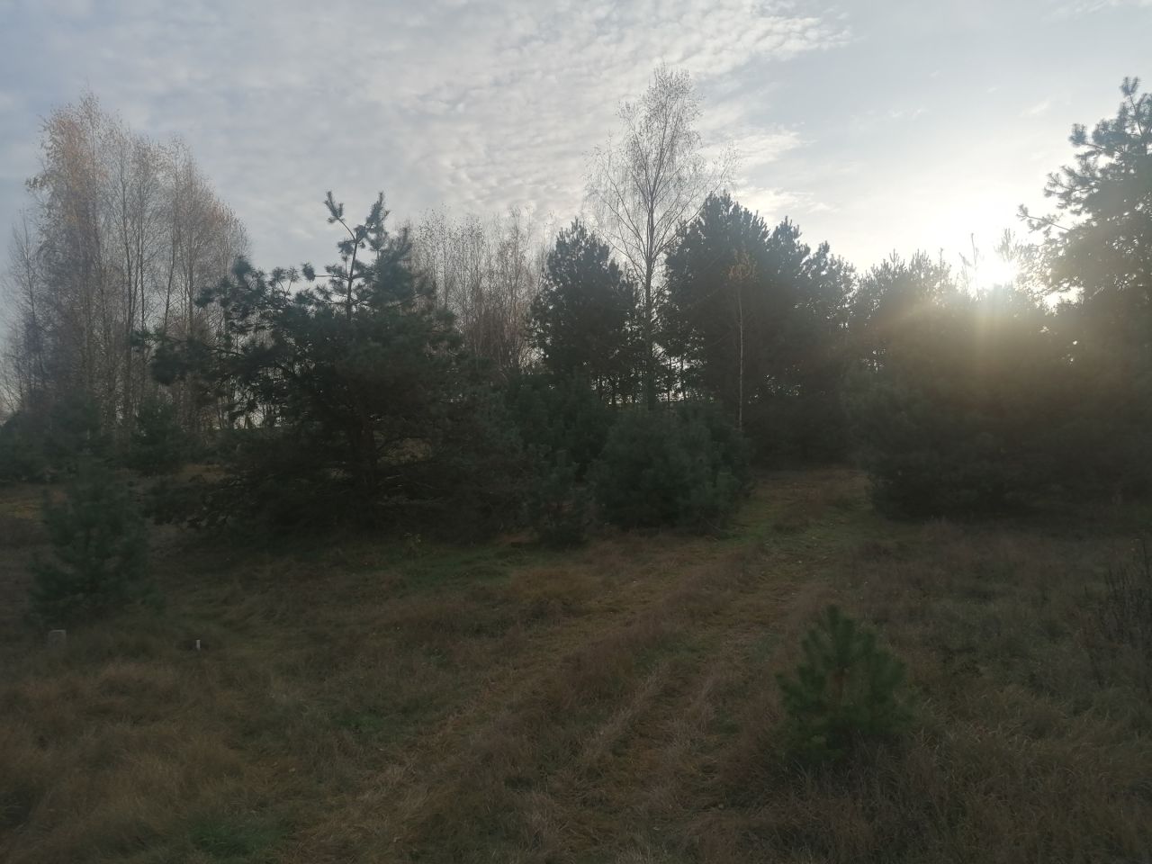 Działka rolna Kępina. Zdjęcie 14