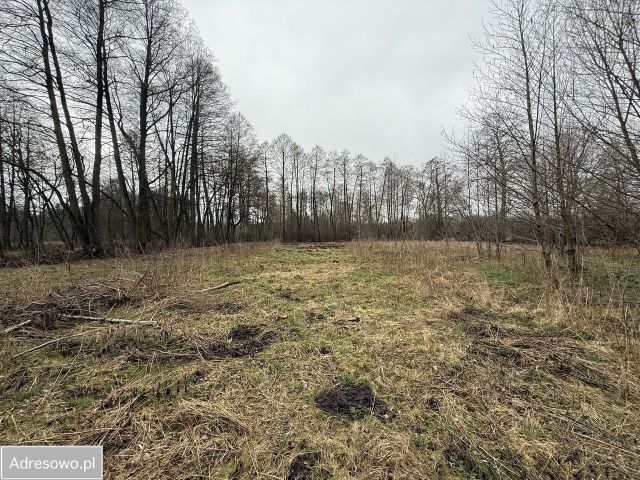 Działka budowlana Adamów-Wieś, ul. Brzozokalska. Zdjęcie 1