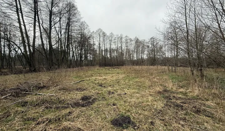 Działka budowlana Adamów-Wieś, ul. Brzozokalska