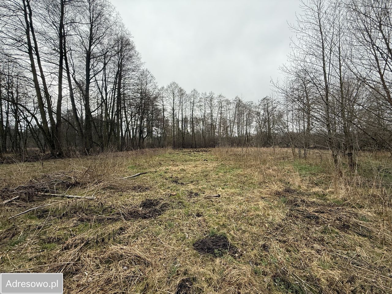 Działka budowlana Adamów-Wieś, ul. Brzozokalska