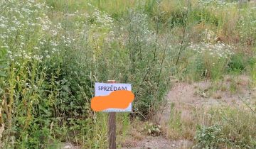 Działka budowlana Bilcza, ul. Borówkowa