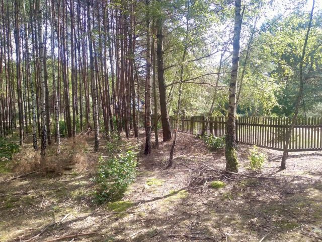 Działka rekreacyjna Lipianki. Zdjęcie 1