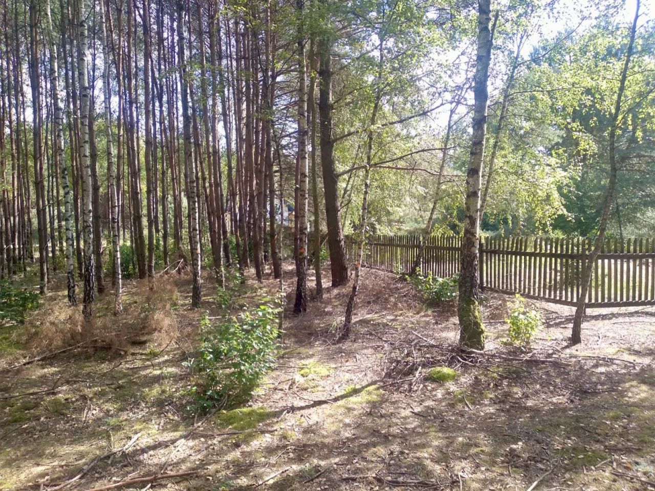 Działka rekreacyjna Lipianki