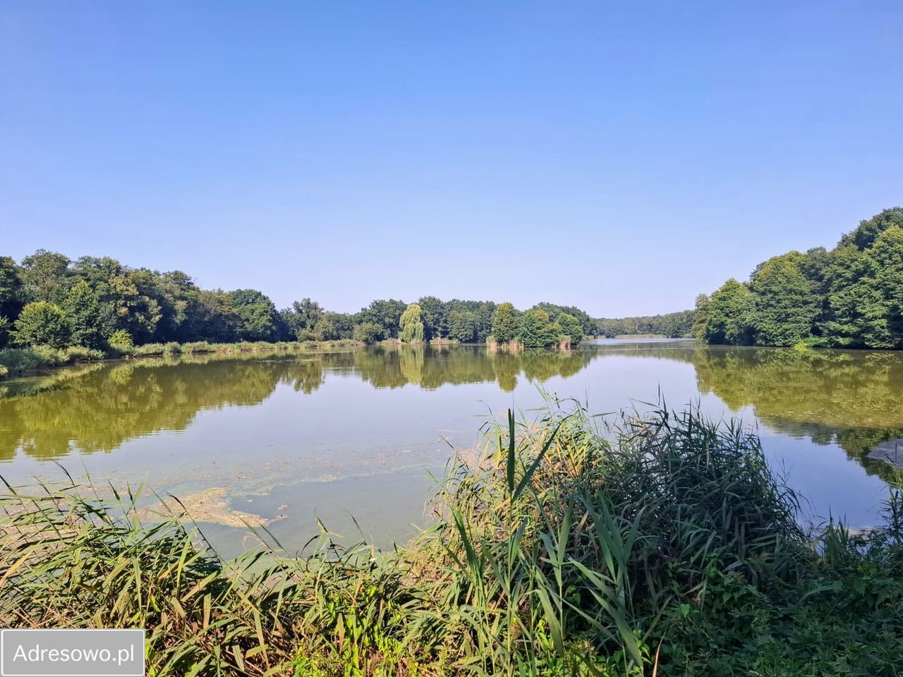 Działka budowlana Boguszyce. Zdjęcie 6