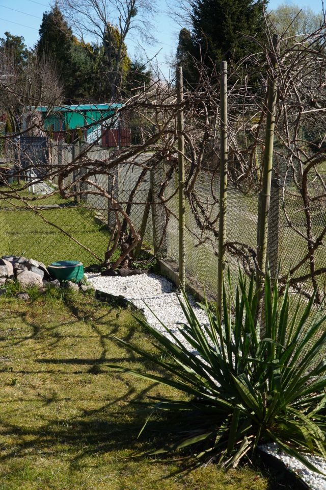 Działka rod Szczecin, ul. Szosa Polska. Zdjęcie 49