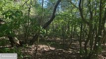 Działka inwestycyjna Warszawa Wawer, ul. Rozkoszna. Zdjęcie 2