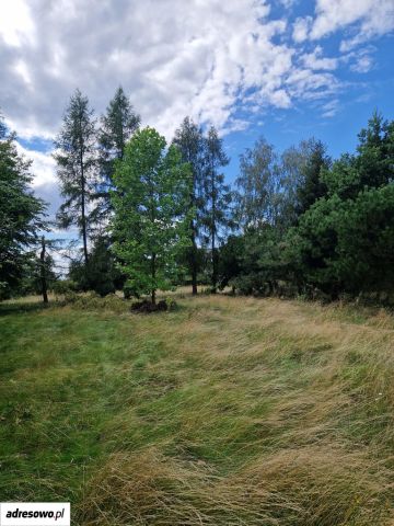 Działka inwestycyjna Natolin. Zdjęcie 1
